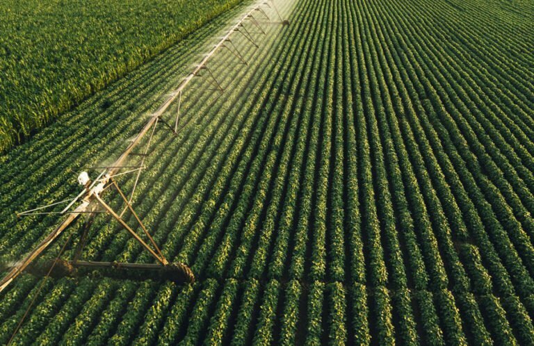 Structured Water for Agriculture: Water Quality Like Rainwater 100% of the Season