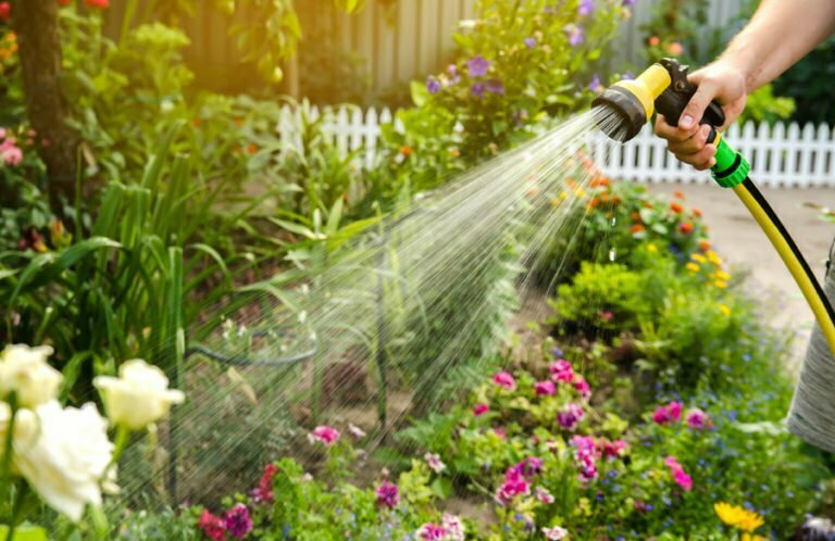 Grow a Thriving Garden with Structured Water