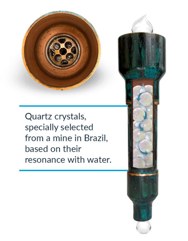 The Wellness Enterprise