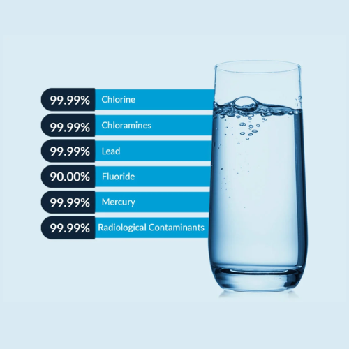 The Wellness Enterprise