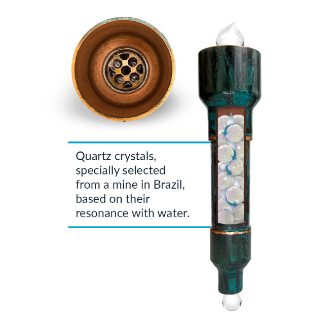 The Wellness Enterprise