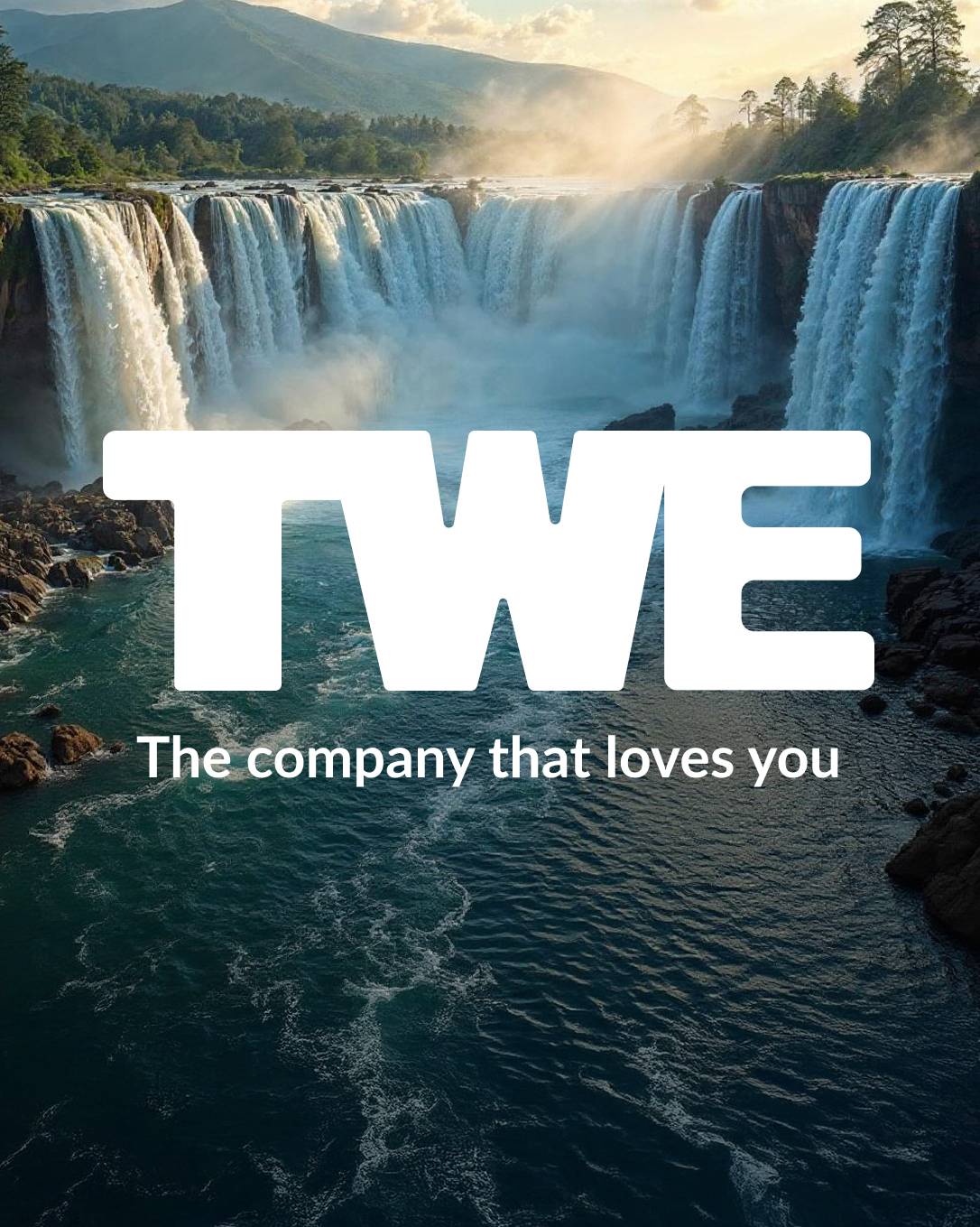 The Wellness Enterprise logo over a waterfall with the words The company that loves you