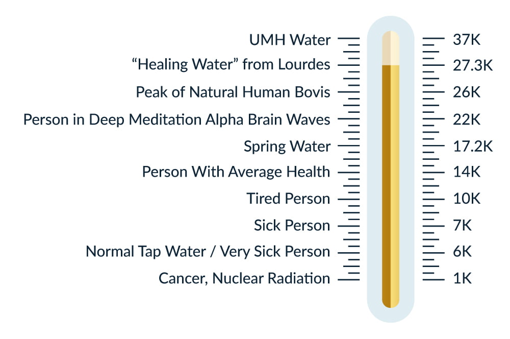 UMH Live 3 in 1 Structured Water Device