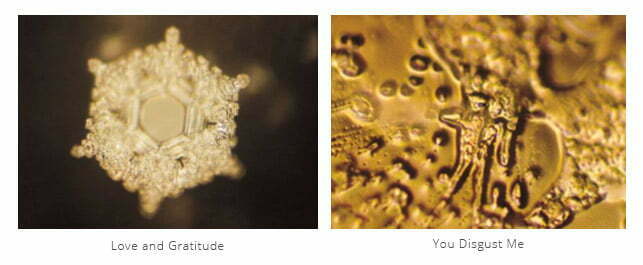 Dr Masaru Emoto Water consciousness