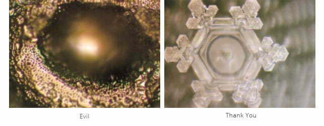 Thank You Emoto Water Crystals