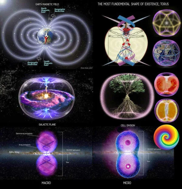 Cosmic Tower Torus Field
